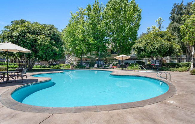 a swimming pool with chairs and umbrellas and trees