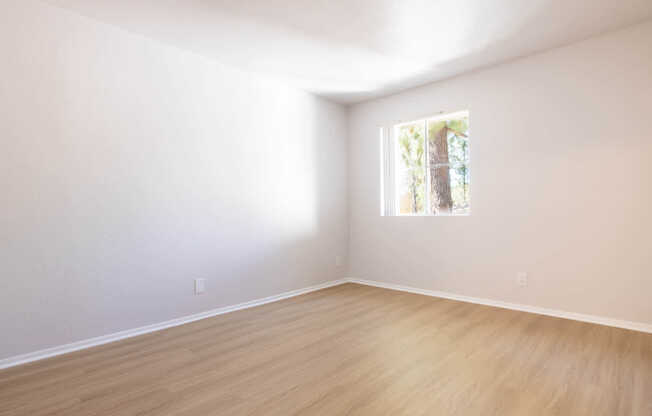 Bedroom with Hard Surface Flooring