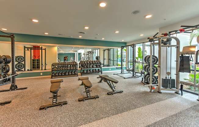 Modern Fitness Center at Pinnacle Apartments, Jacksonville, FL