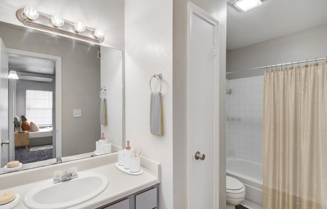 a bathroom with a sink and a mirror and a shower