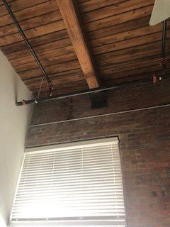 1 bed, 1 bath, 720 sqft, $1,661