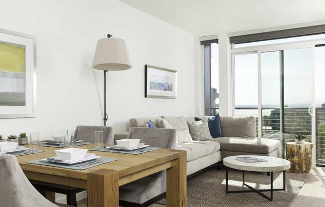 4730 California Apartments Model Living Room and Window
