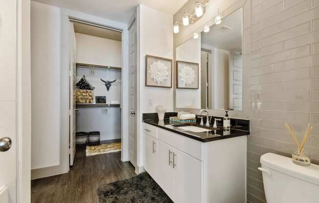 Attached Bathroom interior 1 at The Towers at Bayside, Rowlett, 75088