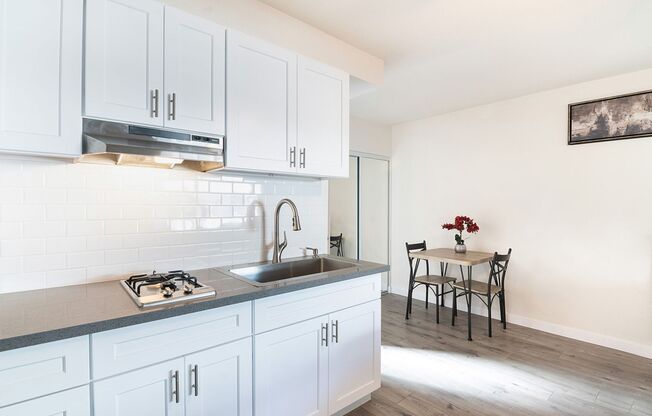 Studio, 1 bath, 127 sqft, $1,295, Unit 101