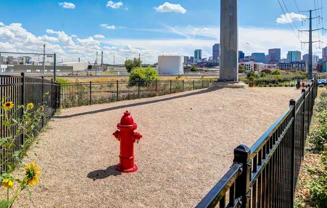 Dog Park with ample running space and a fire hydrant.