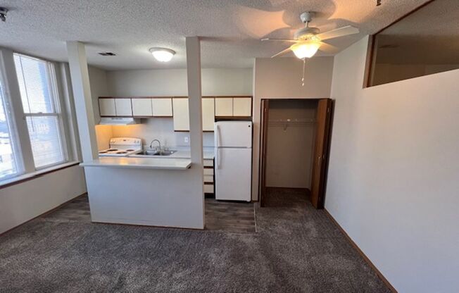 1 bed, 1 bath, 700 sqft, $825, Unit 607