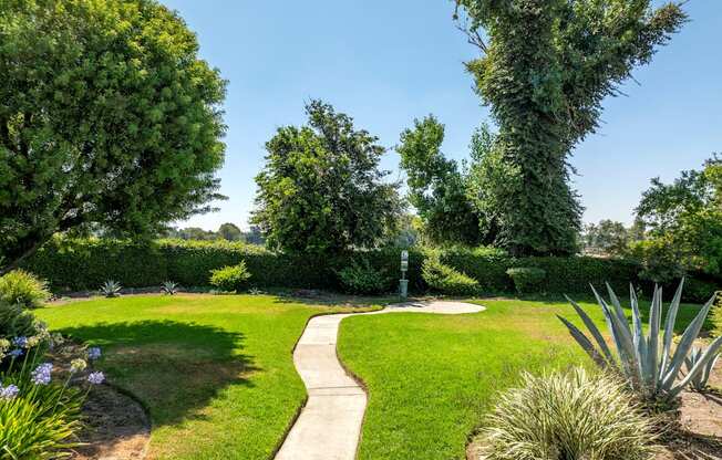 A garden with a curved concrete pathway surrounded by greenery and a clear blue sky.