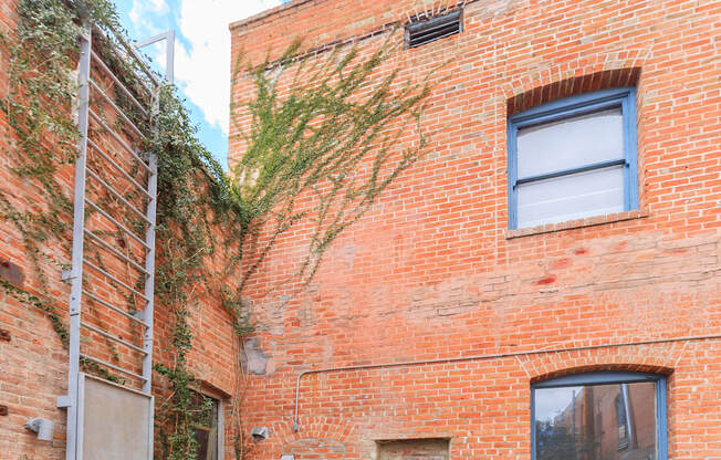 Welcome to Julian Drew Lofts