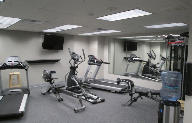 Studio, 1 bath, 450 sqft, $785, Unit 308*