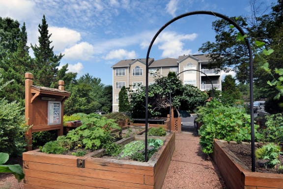 a community garden with a house in the background