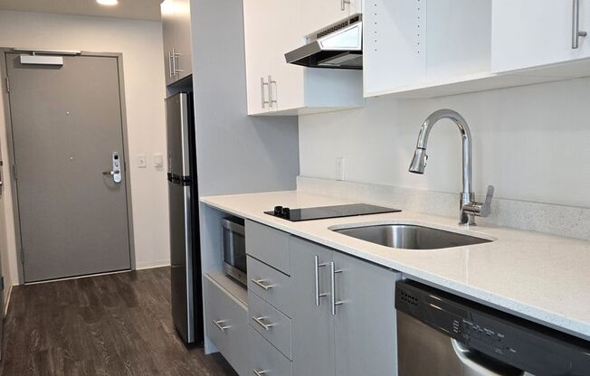 Studio, 1 bath, 226 sqft, $1,174, Unit 317