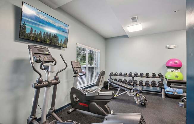 A gym with a row of dumbbells and a treadmill.