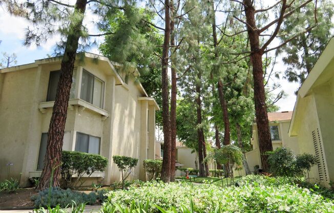 2 beds, 1 bath, 876 sqft, $2,595, Unit F112