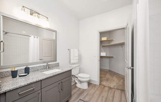Model Bathroom with Gray Cabinets, Wood-Style Flooring and Walk In Closet at Alta 3Eighty Apartments located in Aubrey, TX.