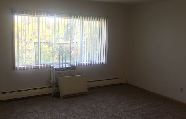 1 bed, 1 bath, $725, Unit 500 #309