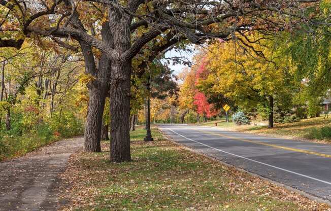 a road with trees on the side of it
