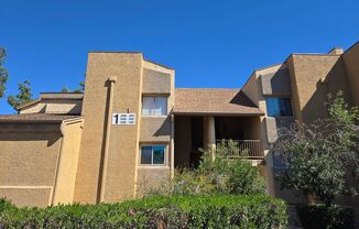 1 Bed 1 Bath Spacious Apartment