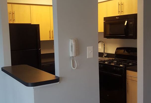 1 bed, 1 bath, 780 sqft, $1,400, Unit 910H