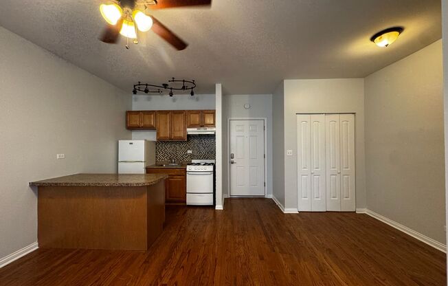 Studio, 1 bath, 450 sqft, $1,375, Unit 308