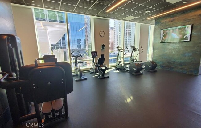 1 bed, 1 bath, 748 sqft, $2,500, Unit 1805