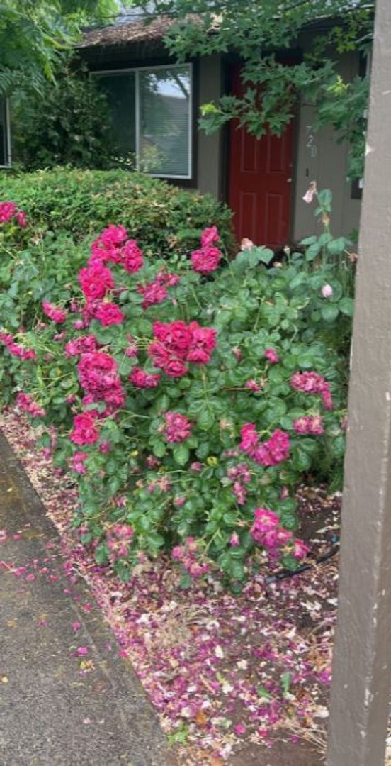 4262-3t - 714-728 NE Savage