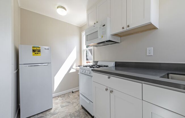 1530 Minturn St - Studio | 1 bath | Lower rear unit