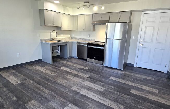 1 bed, 1 bath, 553 sqft, $1,250, Unit 302