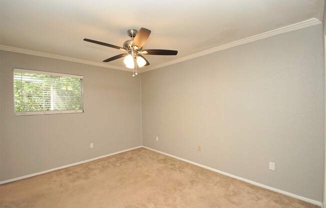 Studio, 1 bath, 500 sqft, $750, Unit 203