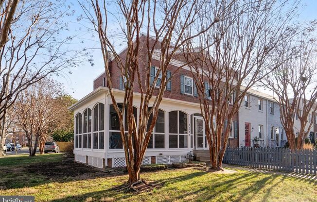 Gorgeous, Sun-lit,Townhouse in Alexandria