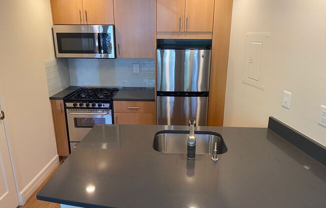 Studio, 1 bath, 470 sqft, $2,200