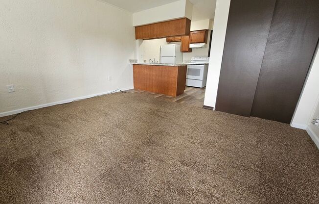 1 bed, 1 bath, 475 sqft, $650, Unit WP-243