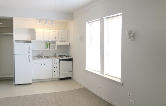 Studio, 1 bath, 233 sqft, $1,100, Unit 707