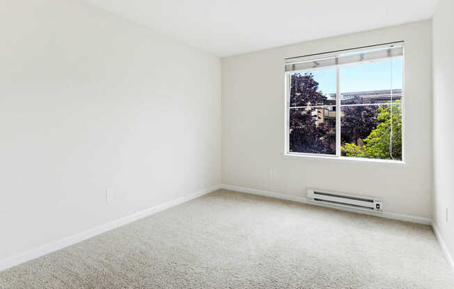 Carpeted Bedroom