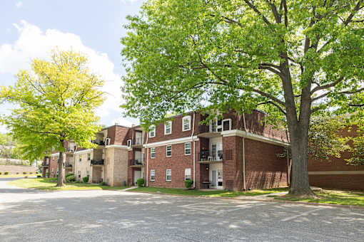 A tree with green leaves stands in front of a brick building.