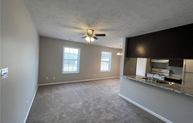 1413 IRELAND DR
