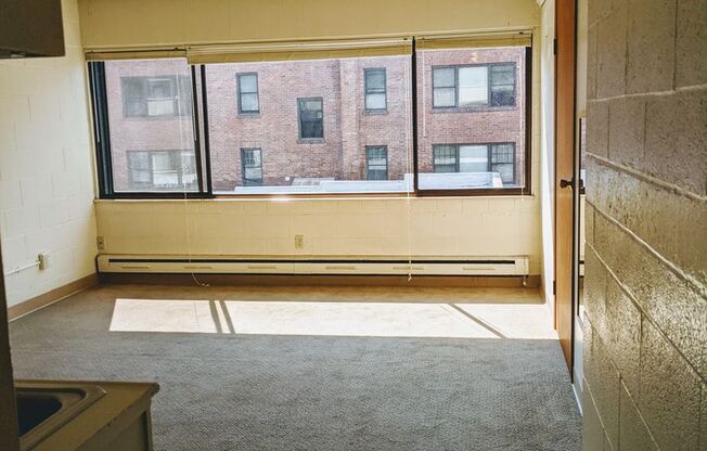 1 bed, 1 bath, 373 sqft, $1,200, Unit 310