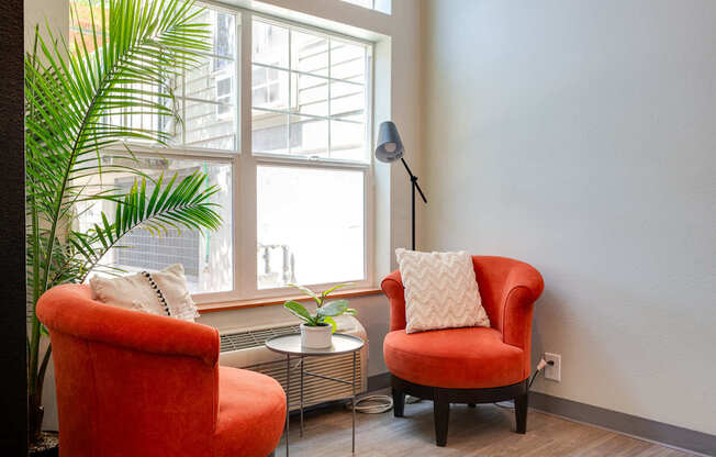 Two red chairs with pillows in front of a window with a plant.
