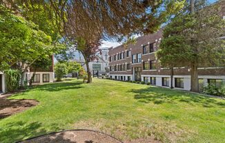 The Bayside Collection