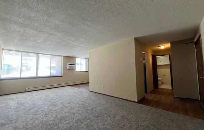 1 bed, 1 bath, 800 sqft, $919, Unit 110