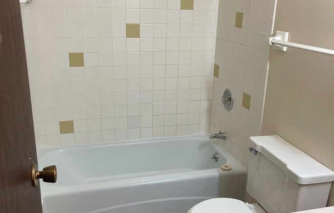 Studio, 1 bath, 300 sqft, $1,060, Unit 102-204
