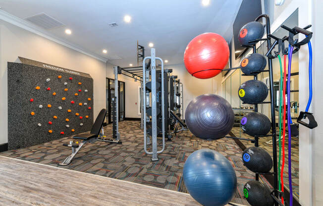 a gym with a wall of fitness equipment and a punching bag