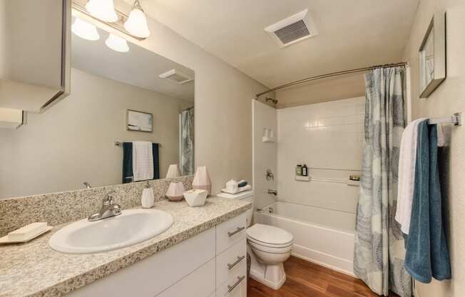 Master Bathroom with Wood Inspired Floor, Toilet, Bathtub, Full Vanity