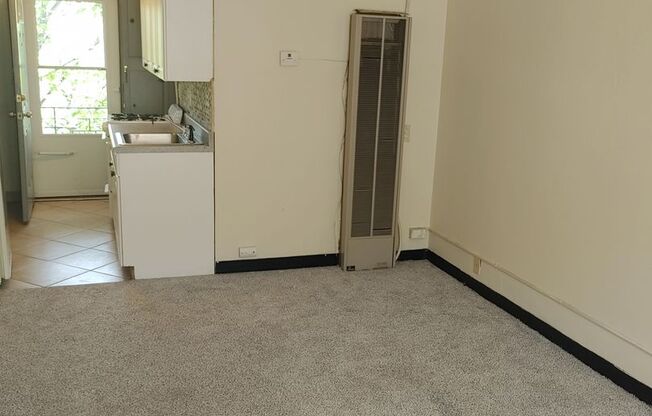 Studio, 1 bath, $795, Unit 310