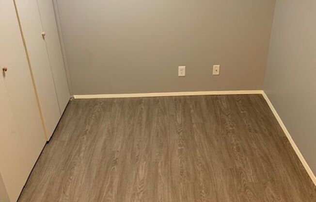 Studio, 1 bath, 484 sqft, $1,200