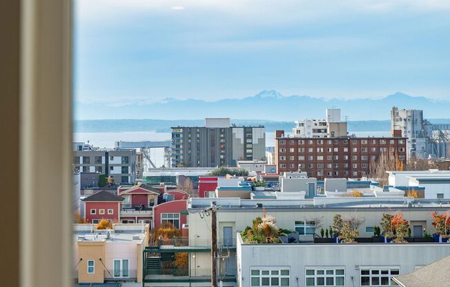 1 bed, 1 bath, 585 sqft, $1,715, Unit 515