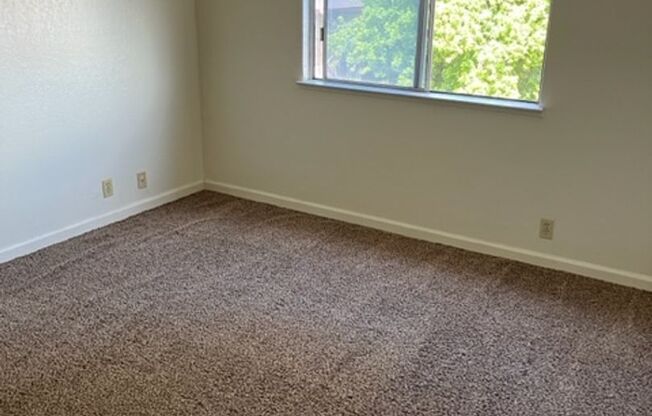 1 bed, 1 bath, $1,400, Unit 14