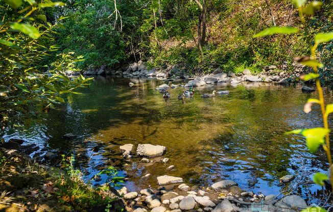 2 beds, 1 bath, 730 sqft, $1,600, Unit 79