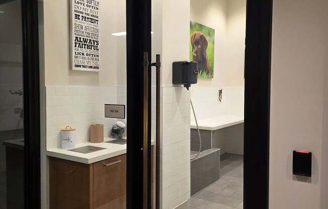 Pet spa wash station at Valo Apartments in Southwest Waterfront, Washington, DC 20024