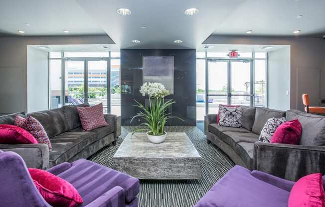 a living room with couches and a table with a plant