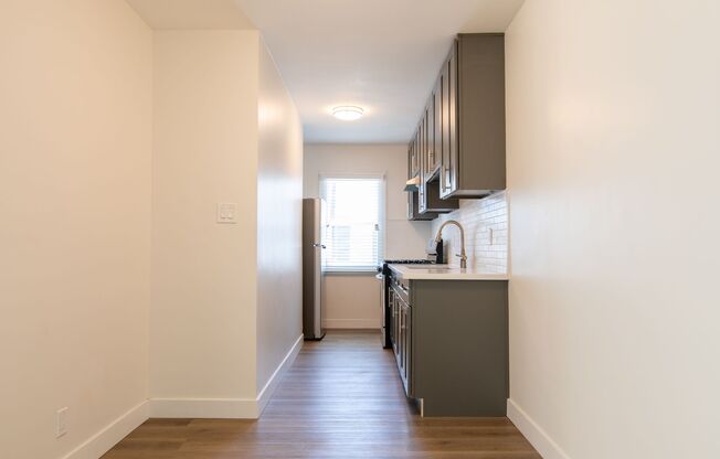Newly Renovated Apartments